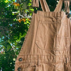 Free People Ziggy Denim Overalls